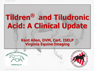 Tildren and Tiludronic Acid: A Clinical Update